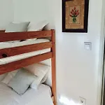 Bs فيلة