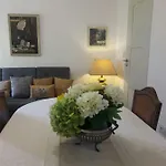 Bs فيلة